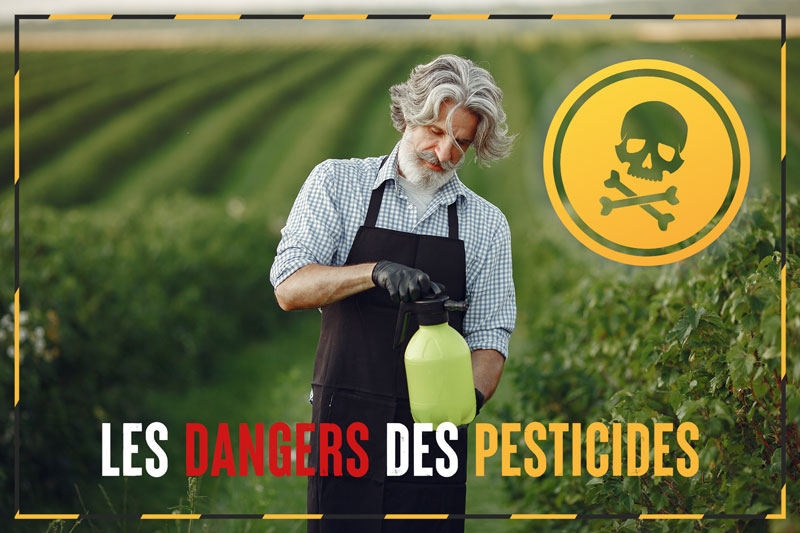 Harvesting-non-organic-dangers-of-pesticides-favouring-a-cascara-bio